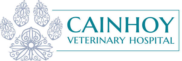 cainhoy veterinary hospital - veterinarian in charleston