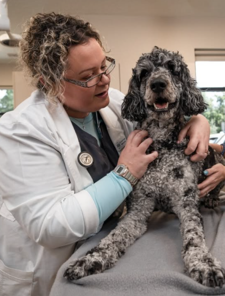 Preventative Care Charleston