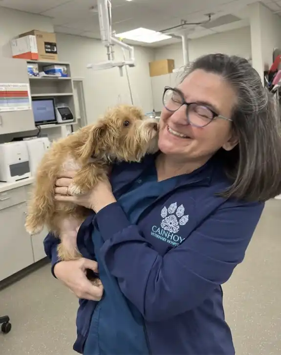 Veterinarian Charleston