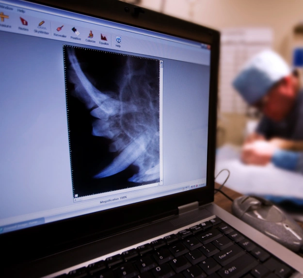 Dog Diagnostic Care